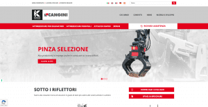 Progetto cangini benne