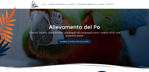 Progetto Parrots